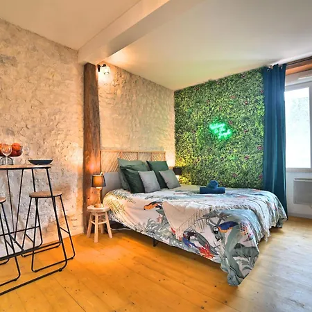 Jungle Rochelaise - Hypercentre - Entierement Renovee- Tv 4k - Fibre - Quartier Porte Royale Apartment La Rochelle (Charente-Maritime)