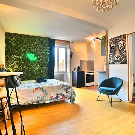 Jungle Rochelaise - Coeur De Ville, Entierement Renovee, Tv 4k, Fibre, Quartier Porte Royale * La Rochelle (Charente-Maritime)