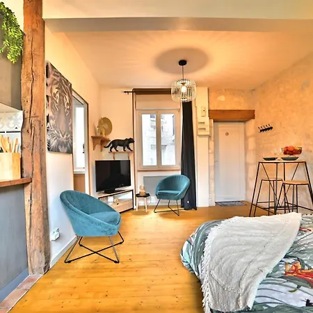 Daire Jungle Rochelaise - Coeur De Ville, Entierement Renovee, Tv 4k, Fibre, Quartier Porte Royale